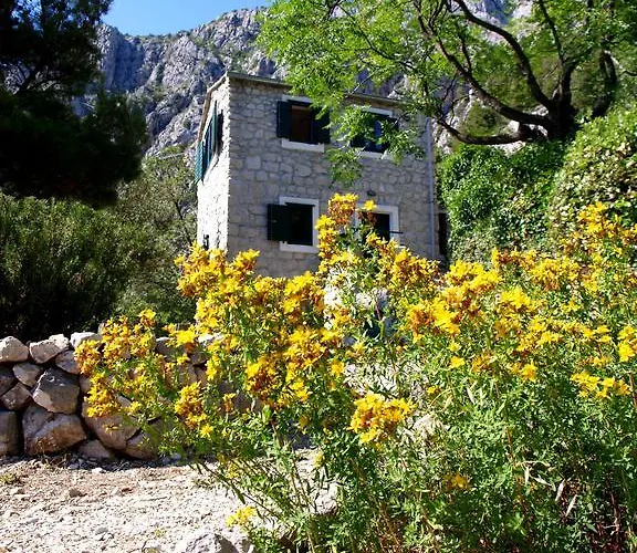 Holiday Home Dalmatinska Kuca