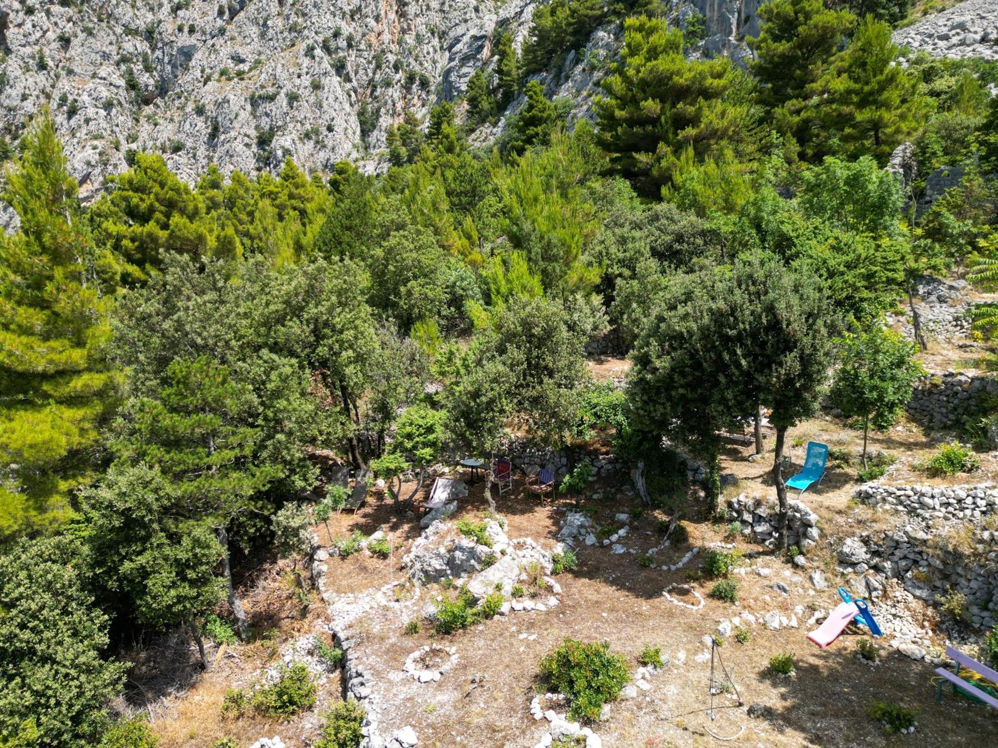 Dalmatinska Kuca