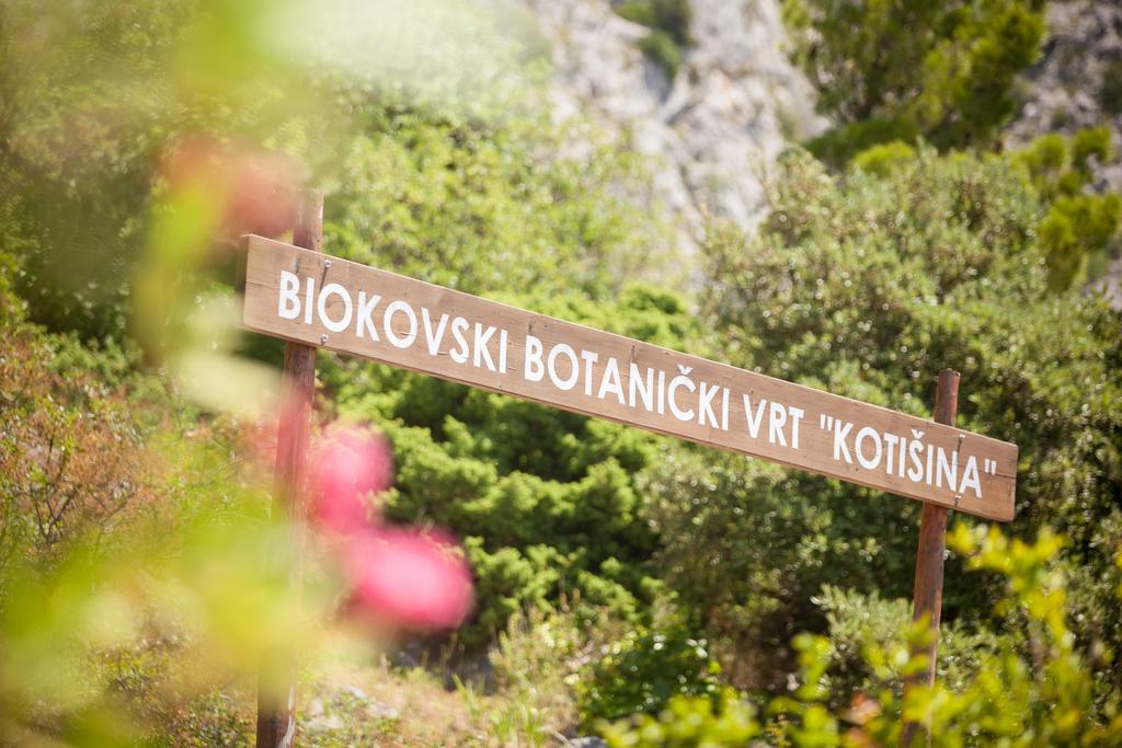 Dalmatinska Kuca