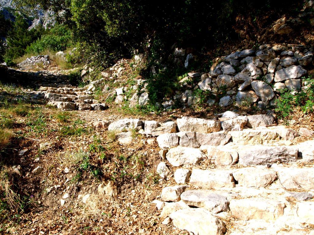 Dalmatinska Kuca